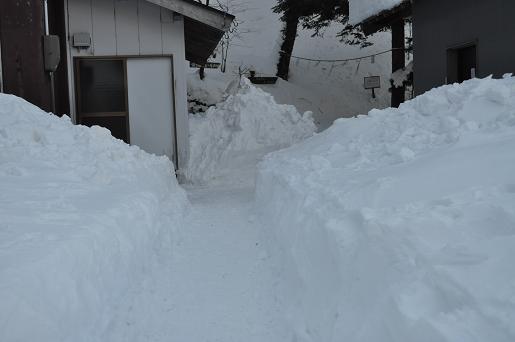 登り始めは剣山!