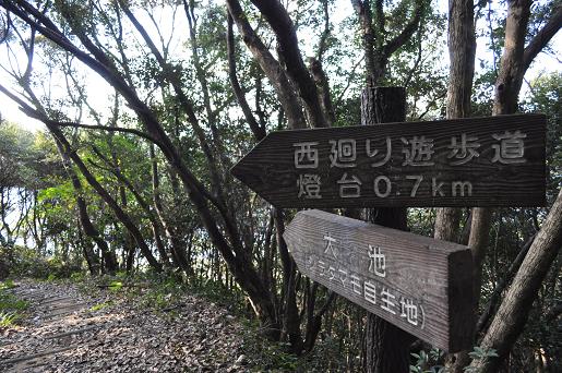 エンドウの花が咲く出羽島 遠見76.0m