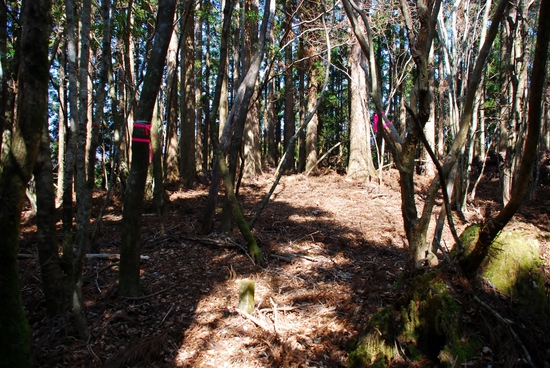 貧田丸△1018.7M 貧田丸△1018.7M