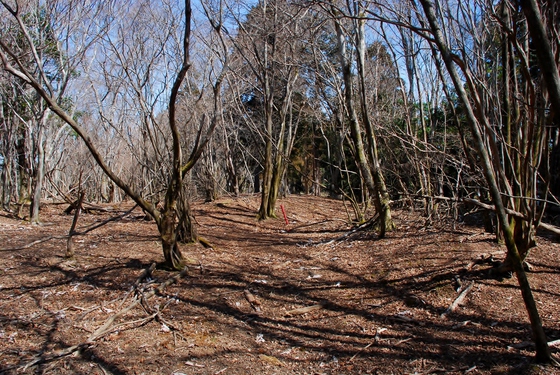 貧田丸△1018.7M 貧田丸△1018.7M
