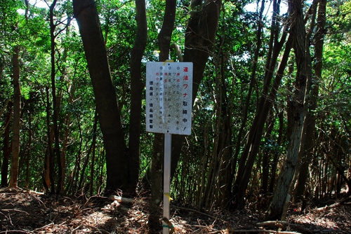 三ツ尾△761.9Mからミツマタへ 三ツ尾△761.9Mからミツマタへ