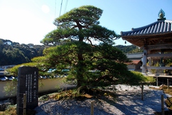 お四国参り 高知・愛媛編 29~36 44~45 お四国参り 高知・愛媛編 29~36 44~45