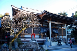 お四国参り 高知・愛媛編 29~36 44~45 お四国参り 高知・愛媛編 29~36 44~45