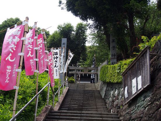ニャンコのいる 王子神社 ニャンコのいる 王子神社
