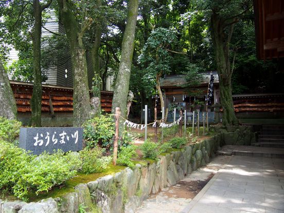 ニャンコのいる 王子神社 ニャンコのいる 王子神社