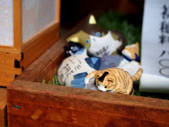 ニャンコのいる 王子神社 ニャンコのいる 王子神社