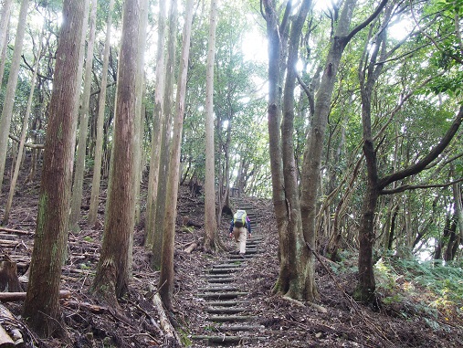 千羽ケ岳 △245.3M 千羽ケ岳 △245.3M