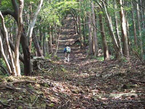 千羽ケ岳 △245.3M 千羽ケ岳 △245.3M