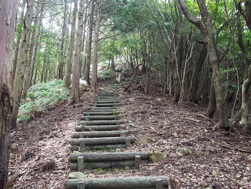 千羽ケ岳 △245.3M 千羽ケ岳 △245.3M