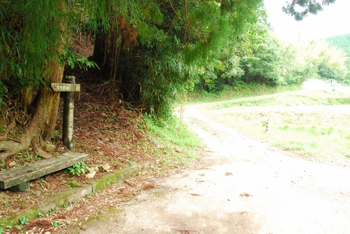 千羽ケ岳 △245.3M 千羽ケ岳 △245.3M