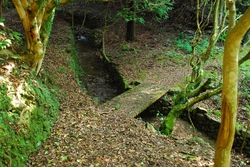 千羽ケ岳 △245.3M 千羽ケ岳 △245.3M