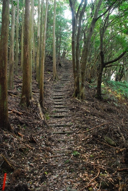 千羽ケ岳 △245.3M 千羽ケ岳 △245.3M