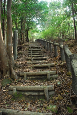 千羽ケ岳 △245.3M 千羽ケ岳 △245.3M