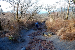 霧島連山 高千穂峰△1573.6M 霧島連山 高千穂峰△1573.6M