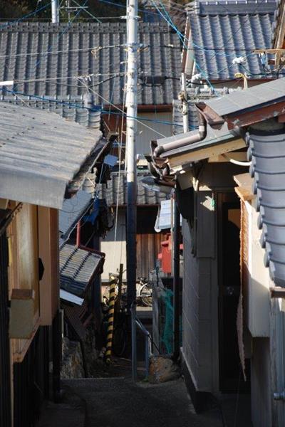 エンドウの花が咲く出羽島 遠見76.0m