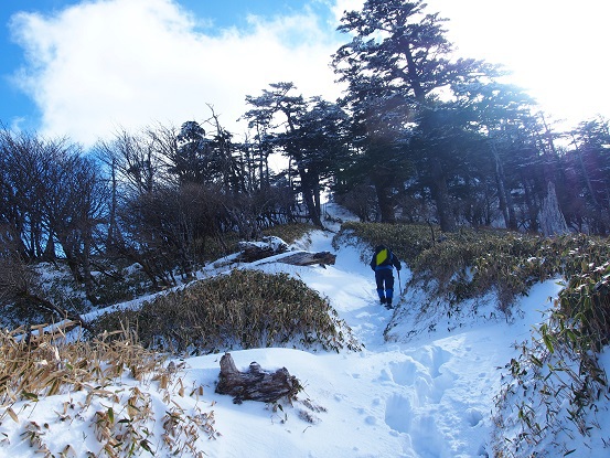 2016年 登り納めは、剣山 △1955.0M 2016年 登り納めは、剣山 △1955.0M