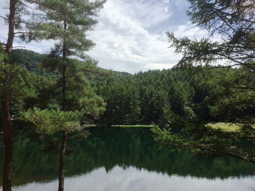 緑と水の絶景を楽しむ　清里丘の公園オートキャンプ場　２日目