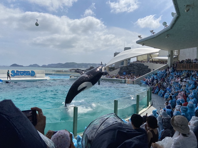 【祝復活】運動会とテントが復活しました 【祝復活】運動会とテントが復活しました