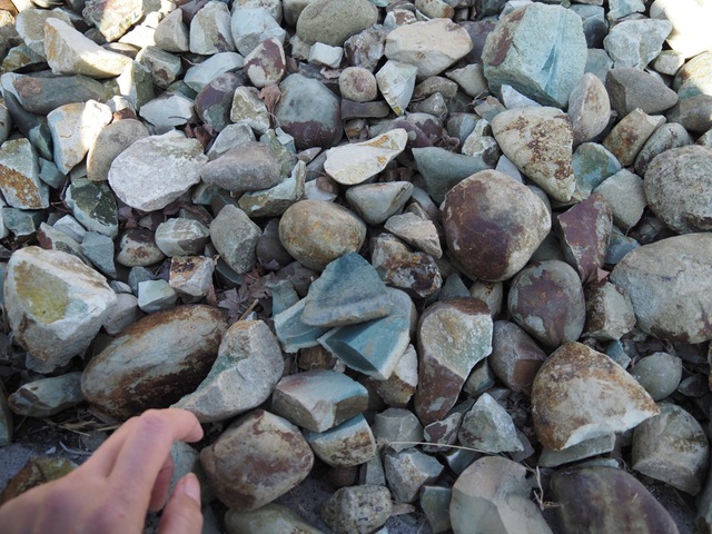 化石発掘体験をしてきました~! 化石発掘体験をしてきました~!