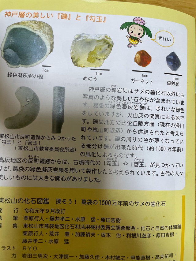 化石発掘体験をしてきました~! 化石発掘体験をしてきました~!