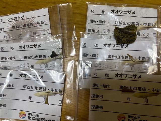 化石発掘体験をしてきました~! 化石発掘体験をしてきました~!