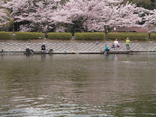 「東山湖FA」　in 　桜祭り 　その３