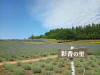 北海道ドライブ＆キャンプの旅2012（4日目）