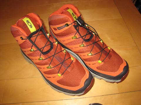 サロモン シナプス MID