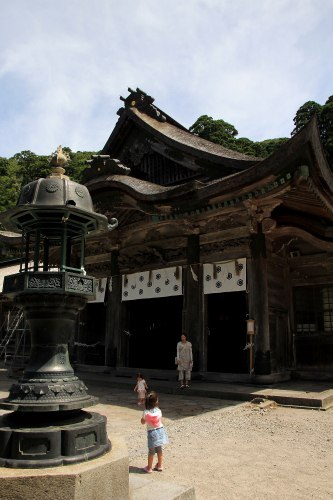 白イルカの次は...