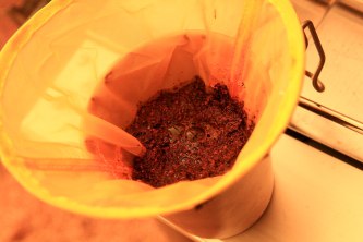 初キャンプは、ゆったり撤収~