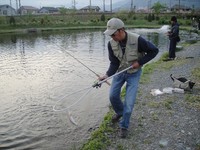 ある日の芦ノ湖-Ⅱ