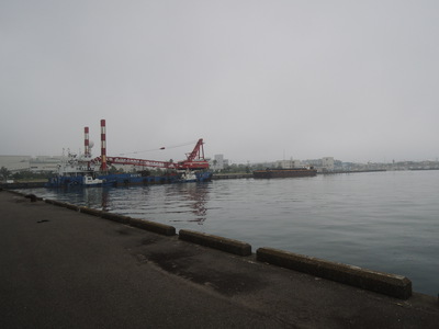 今朝の大井川港