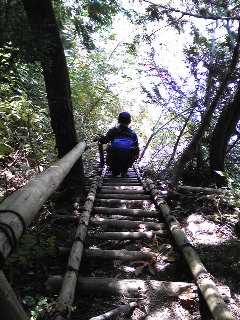 紅葉の立山①黒部湖~五色ヶ原~室堂