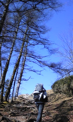 秋の鴨沢~七ツ石山