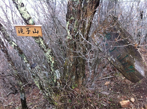 ＧＷ後半　湯ノ沢峠～滝子山