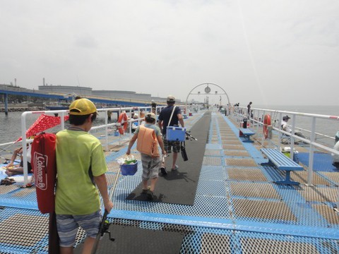 イワシ祭りだ☆海づり公園