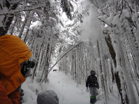 子連れでごめんね♪ 縞枯山!後編
