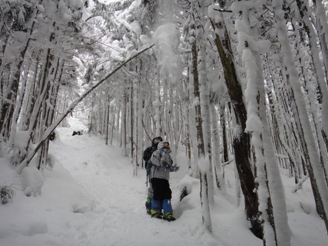 子連れでごめんね♪ 縞枯山!後編