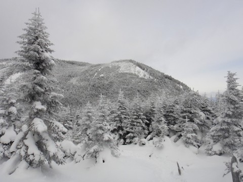 子連れでごめんね♪ 縞枯山!後編
