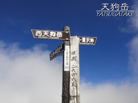 マムラー山行☆天狗岳!