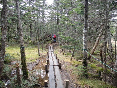 マムラー山行☆天狗岳!