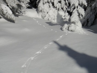雪の北横岳!後編