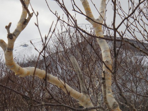 マウントジーンズ那須