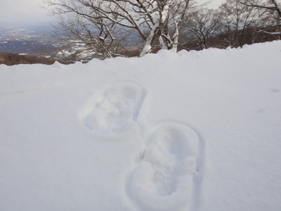 マウントジーンズ那須