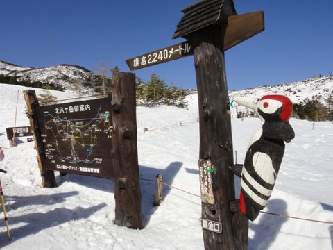 リベンジ北横岳!前編