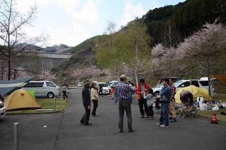 松田川ダムお花見キャンプ!2010