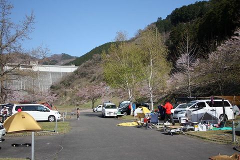 松田川ダムお花見キャンプ!2010