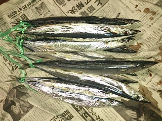 2013/1/5、6-② (小潮~長潮)