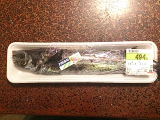 2013/1/5、6-② (小潮~長潮)