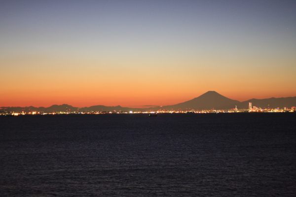 12月 森まきで